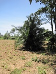 32151IMG_0625.JPG