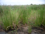19RIMG0875.JPG