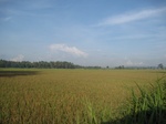 15955IMG_4506.JPG