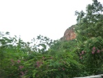 55853CIMG6540.JPG