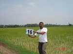 12622016c-irrigated-canal-rice-delta.gif