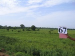 1183667-cropland-rice-faalllow-b.jpg