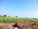 56364CIMG7917.JPG