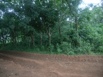 3704RIMG0007.JPG