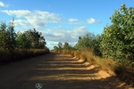 28523P1010537-1.JPG