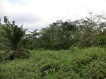 46308CIMG0597.JPG