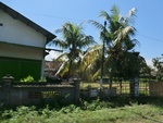 30225CIMG1759.JPG