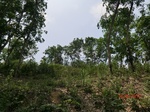 53410CIMG6730.JPG