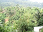 13888IMG_4168.JPG