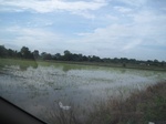 26691IMG_3298.JPG