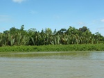 54649Bulungan (161).JPG