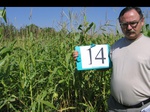 11449014-irrri-maize-sw-1a.jpg