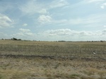 35553DSC02051.JPG
