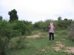1171205-shrubland-degradeda.jpg