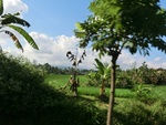 30439CIMG2008.JPG