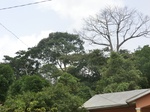 49235CIMG5572.JPG
