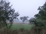 40096CIMG9162.JPG
