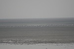 4180IMG_8818.JPG