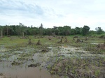 55086Berau (404).JPG