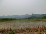 53925CIMG3658.JPG