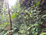 46844DSC02191.JPG
