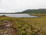 24984DSC00051.JPG