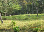 29972IMG_5388.JPG
