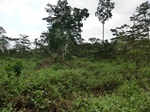 50939CIMG0593.JPG
