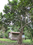32100IMG_5583.jpg