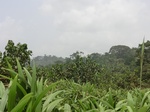 49048CIMG5385.JPG