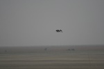 4178IMG_8816.JPG