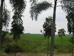 31605CIMG1471.JPG