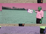11570054-Irrigated (Surface water) winter wheat-b.jpg