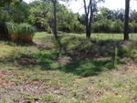 2012-09-03_14-42-20_11 Our 'pond'and 6 inches is the most I have seen in it in 18 mths.JPG