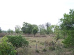 479902052008(1).JPG