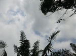 46210CIMG0499.JPG