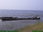 1224R0015061_tag.jpg