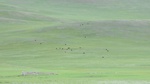 34103CIMG2311.JPG