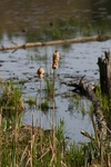 386IMG_3495.JPG