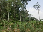 49709CIMG6046.JPG