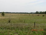 29669CIMG0959.JPG