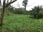 44862CIMG2047.JPG