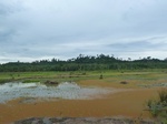 55131Berau (447).JPG