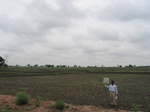 7969gt90b_cropland.jpg