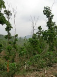 53567CIMG6918.JPG