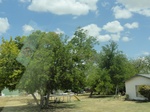36007DSC02278.JPG