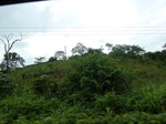 20525P1020382.JPG
