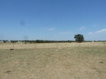 39273P1080057.JPG