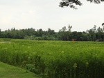 21925DSC00174.JPG