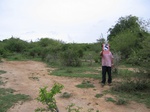 1171305-shrubland-degradedb.jpg